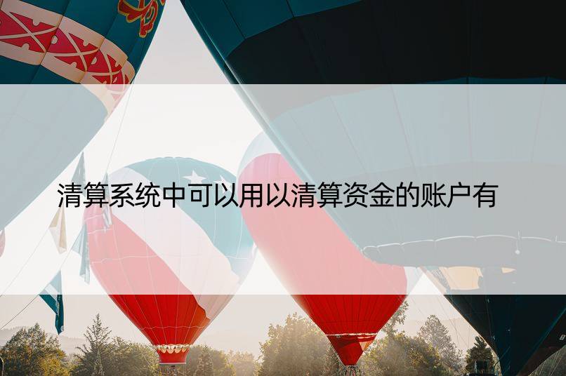 清算系统中可以用以清算资金的账户有