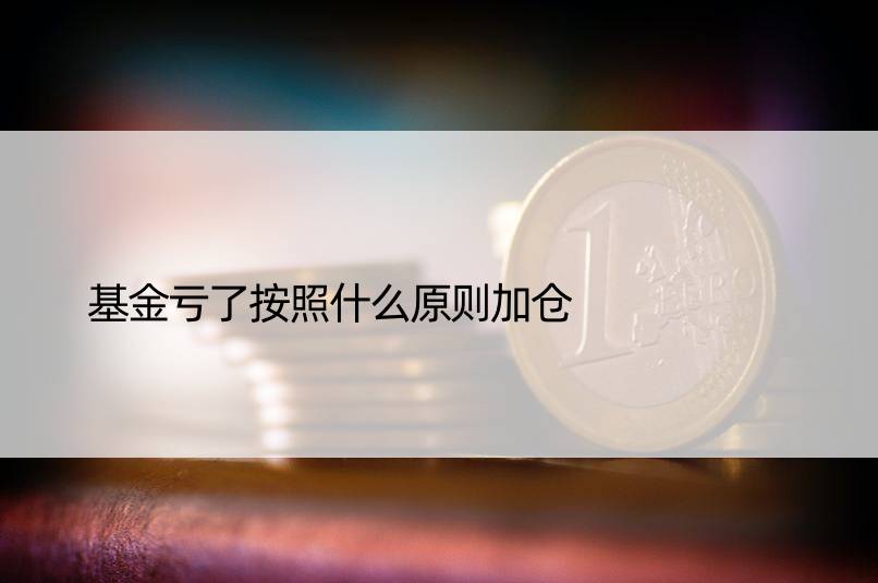 基金亏了按照什么原则加仓