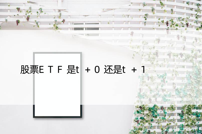 股票ETF是t+0还是t+1