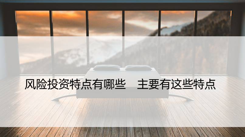 风险投资特点有哪些 主要有这些特点