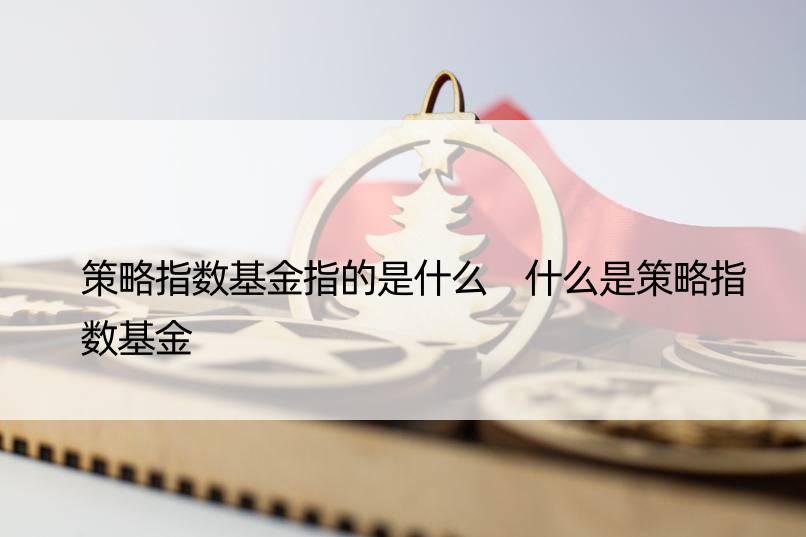 策略指数基金指的是什么 什么是策略指数基金