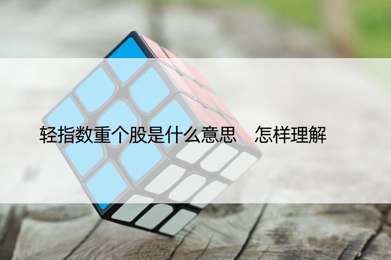 轻指数重个股是什么意思 怎样理解