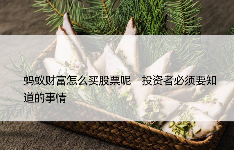 蚂蚁财富怎么买股票呢 投资者必须要知道的事情