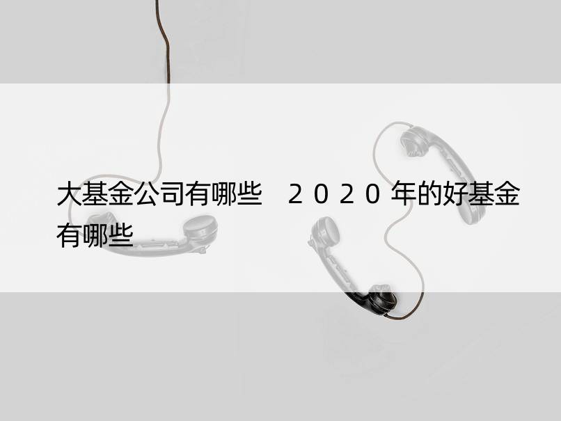 大基金公司有哪些 2020年的好基金有哪些