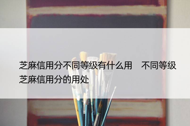 芝麻信用分不同等级有什么用 不同等级芝麻信用分的用处