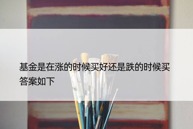 基金是在涨的时候买好还是跌的时候买 答案如下