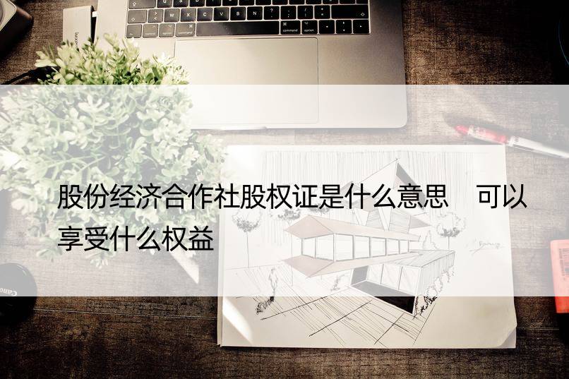 股份经济合作社股权证是什么意思 可以享受什么权益