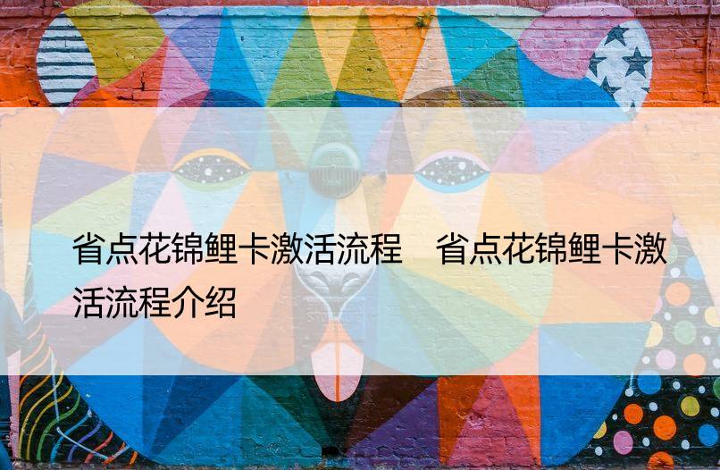 省点花锦鲤卡激活流程 省点花锦鲤卡激活流程介绍