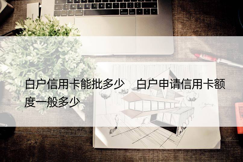 白户信用卡能批多少 白户申请信用卡额度一般多少