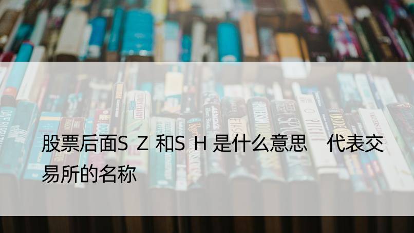 股票后面SZ和SH是什么意思 代表交易所的名称