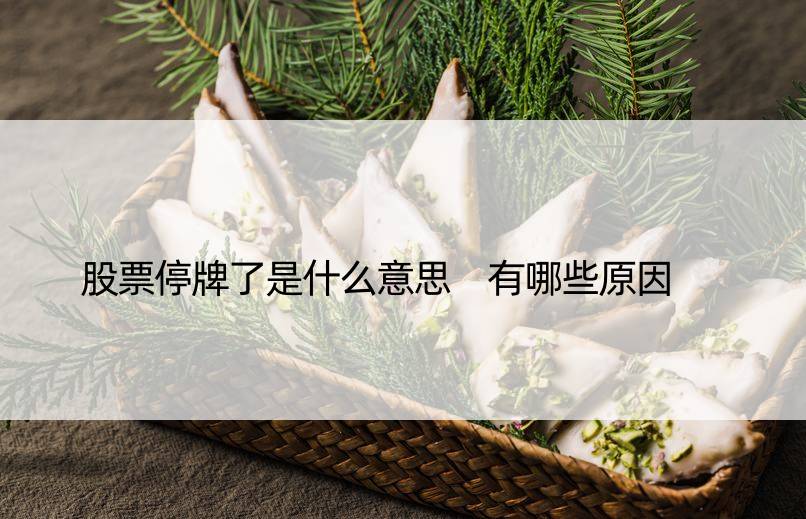 股票停牌了是什么意思 有哪些原因