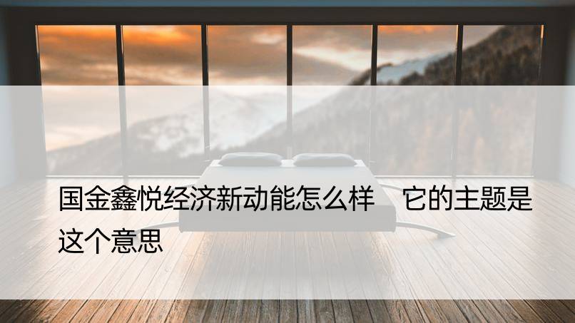 国金鑫悦经济新动能怎么样 它的主题是这个意思