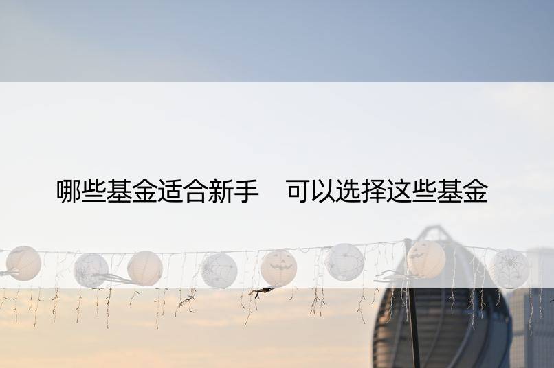 哪些基金适合新手 可以选择这些基金