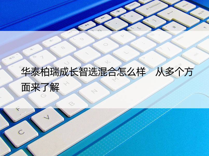 华泰柏瑞成长智选混合怎么样 从多个方面来了解