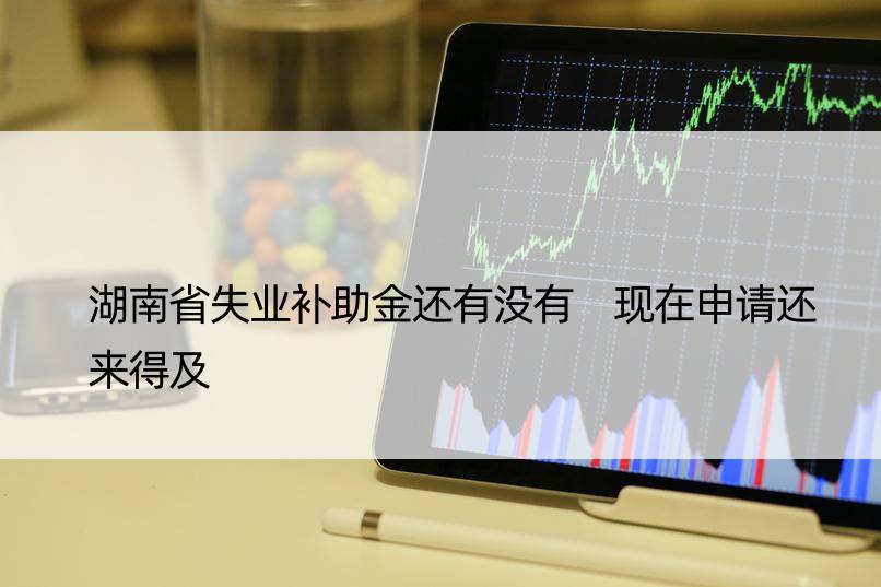 湖南省失业补助金还有没有 现在申请还来得及