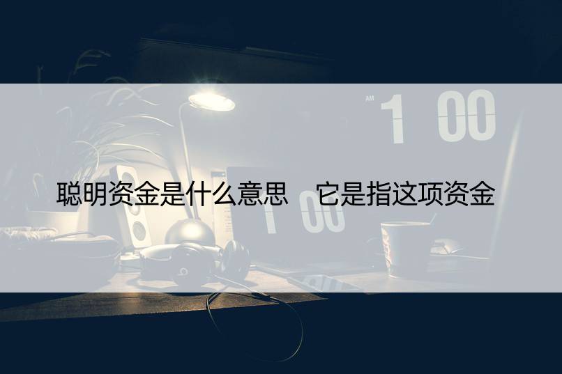 聪明资金是什么意思 它是指这项资金