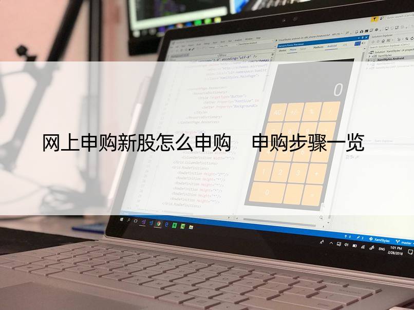 网上申购新股怎么申购 申购步骤一览