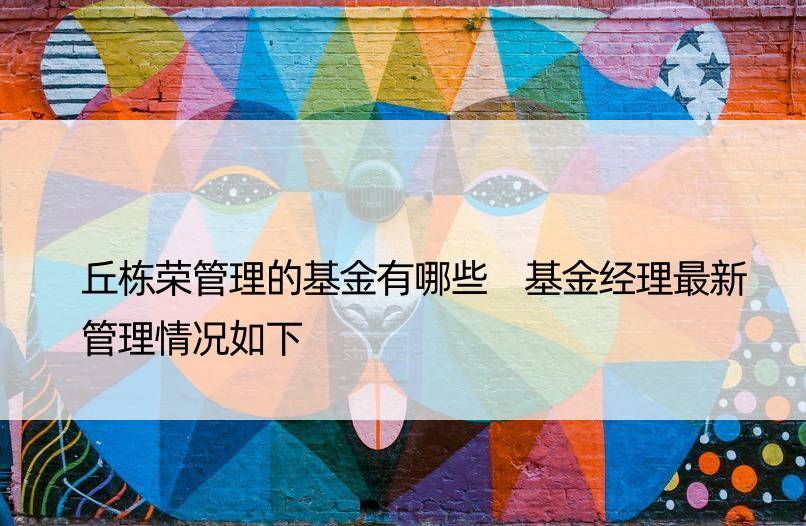 丘栋荣管理的基金有哪些 基金经理最新管理情况如下