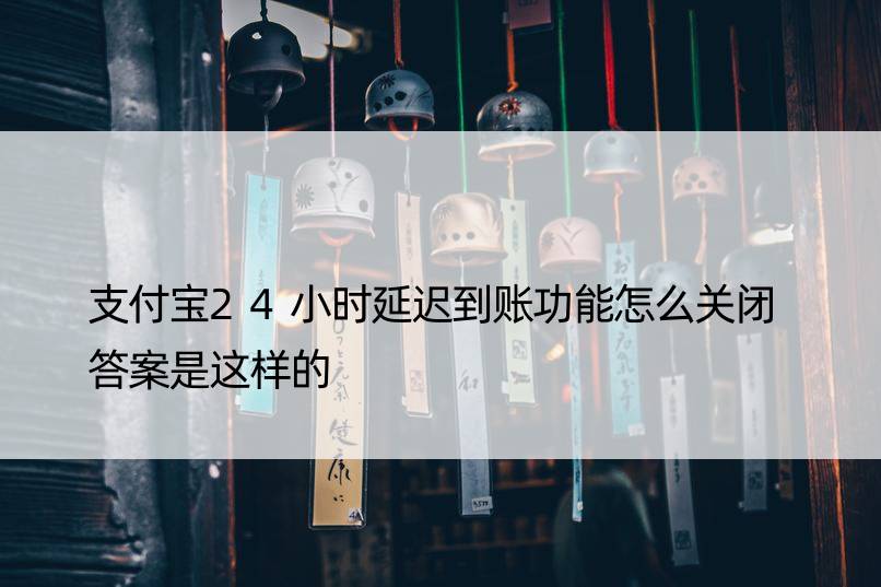 支付宝24小时延迟到账功能怎么关闭 答案是这样的