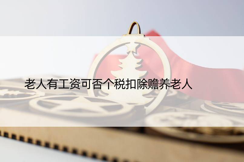 老人有工资可否个税扣除赡养老人