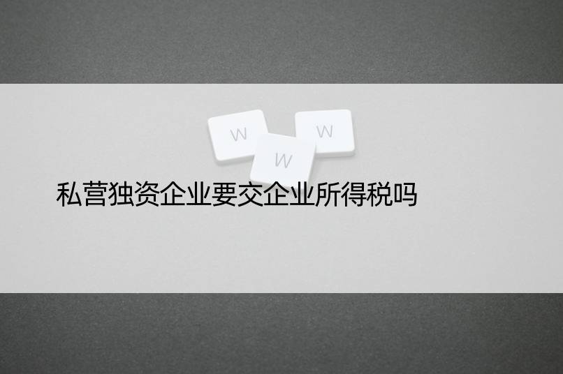 私营独资企业要交企业所得税吗