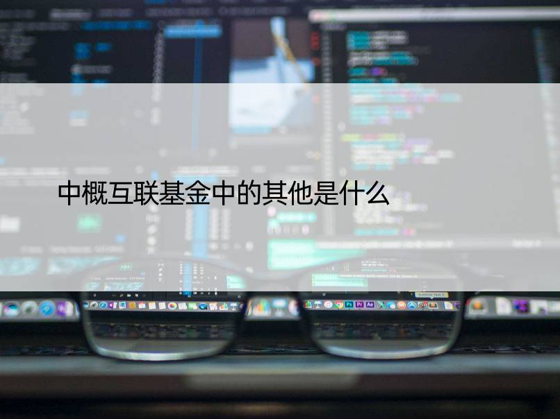 中概互联基金中的其他是什么