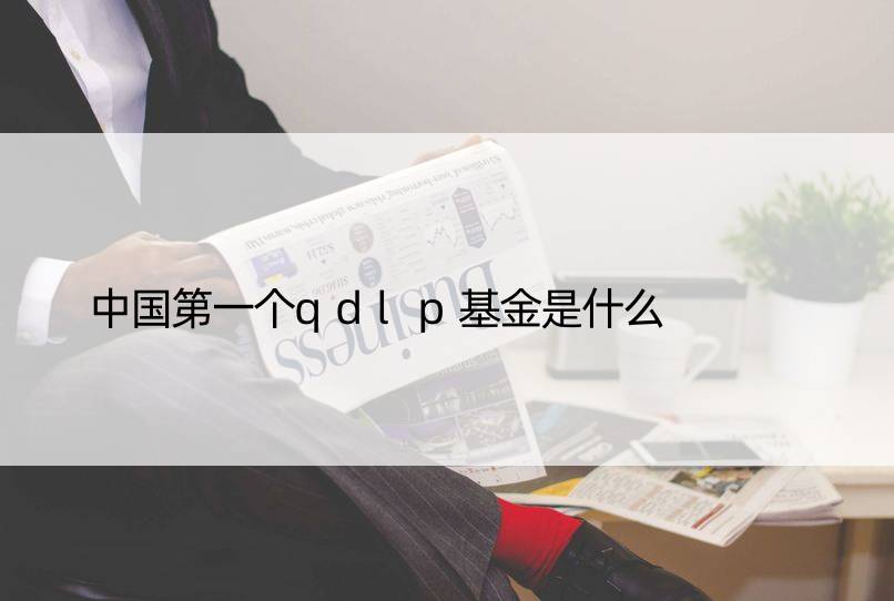 中国个qdlp基金是什么