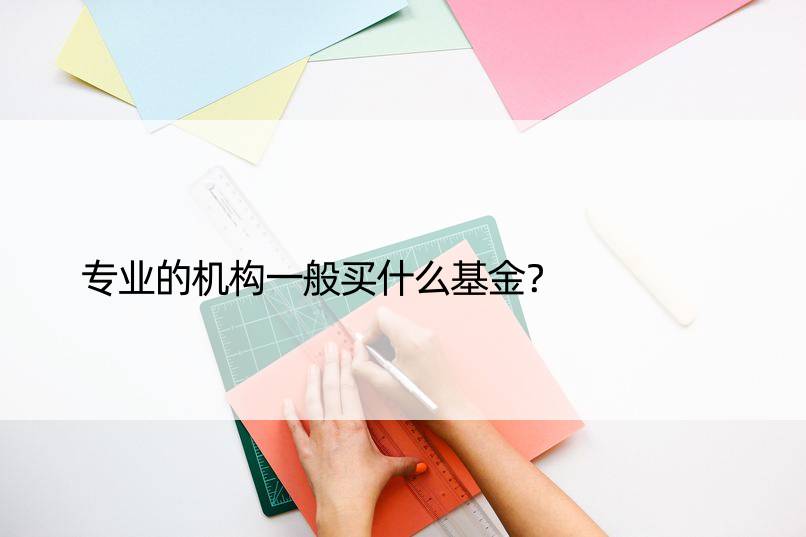 专业的机构一般买什么基金？