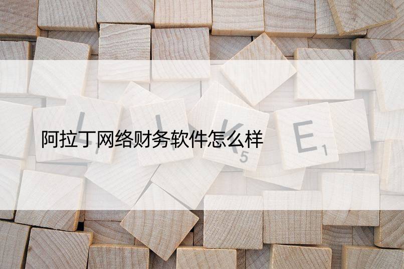 阿拉丁网络财务软件怎么样