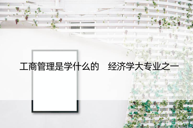 工商管理是学什么的 经济学大专业之一