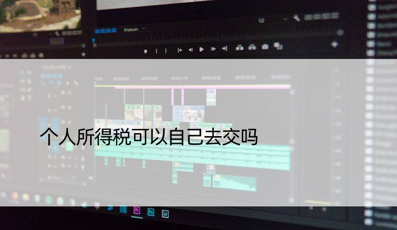 个人所得税可以自己去交吗