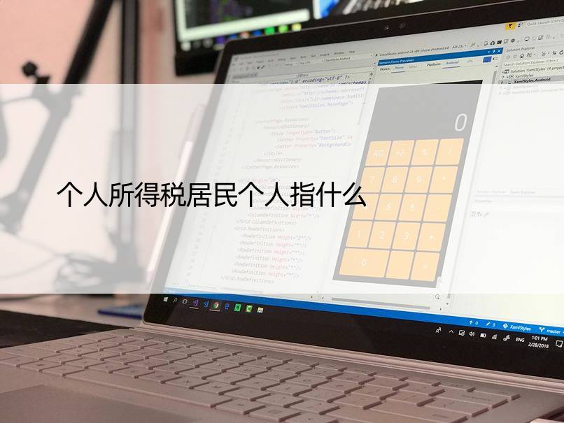 个人所得税居民个人指什么
