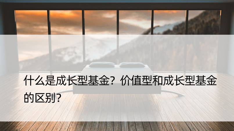 什么是成长型基金？价值型和成长型基金的区别？