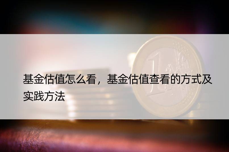 基金估值怎么看，基金估值查看的方式及实践方法