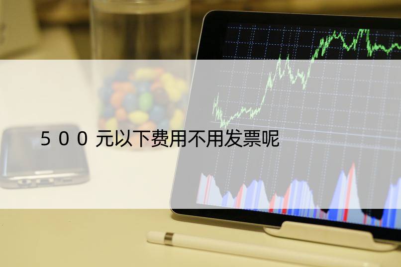 500元以下费用不用发票呢