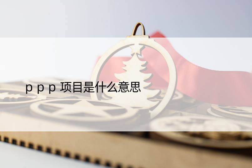 ppp项目是什么意思