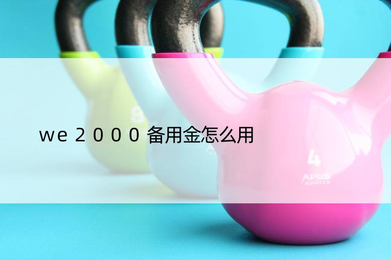 we2000备用金怎么用