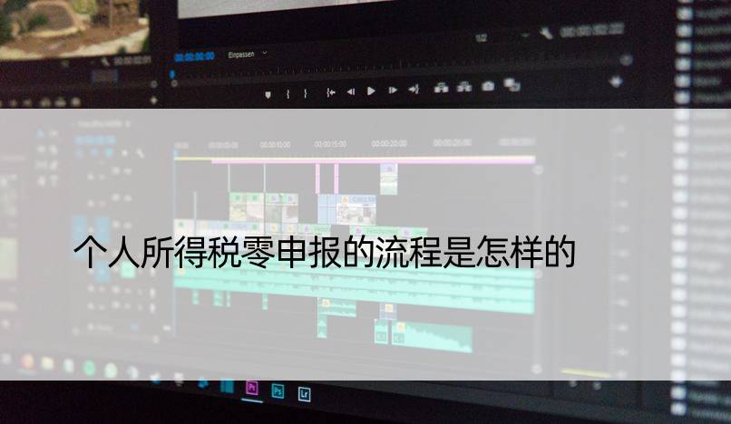 个人所得税零申报的流程是怎样的