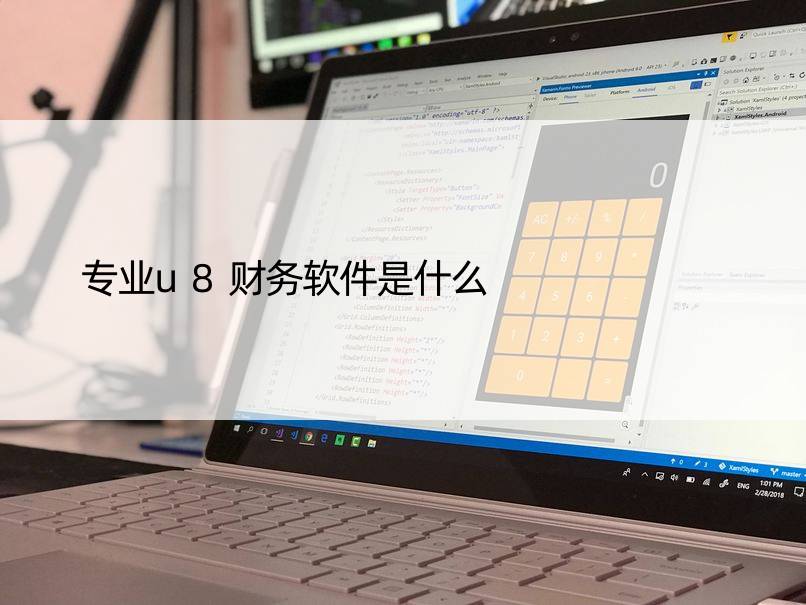 专业u8财务软件是什么