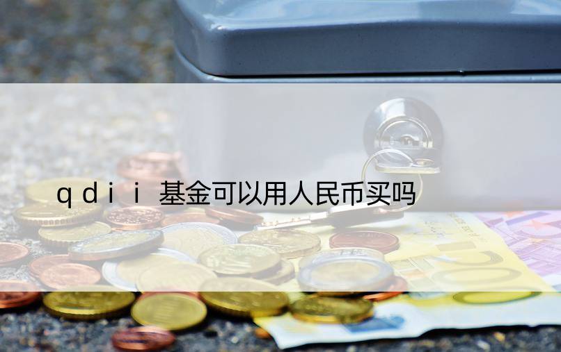 qdii基金可以用人民币买吗