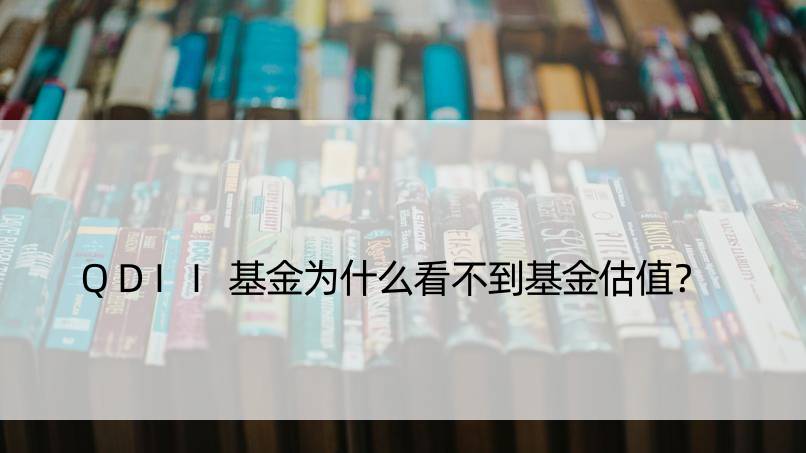 QDII基金为什么看不到基金估值？