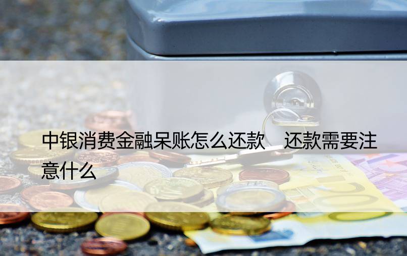 中银消费金融呆账怎么还款 还款需要注意什么