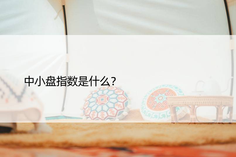 中小盘指数是什么？