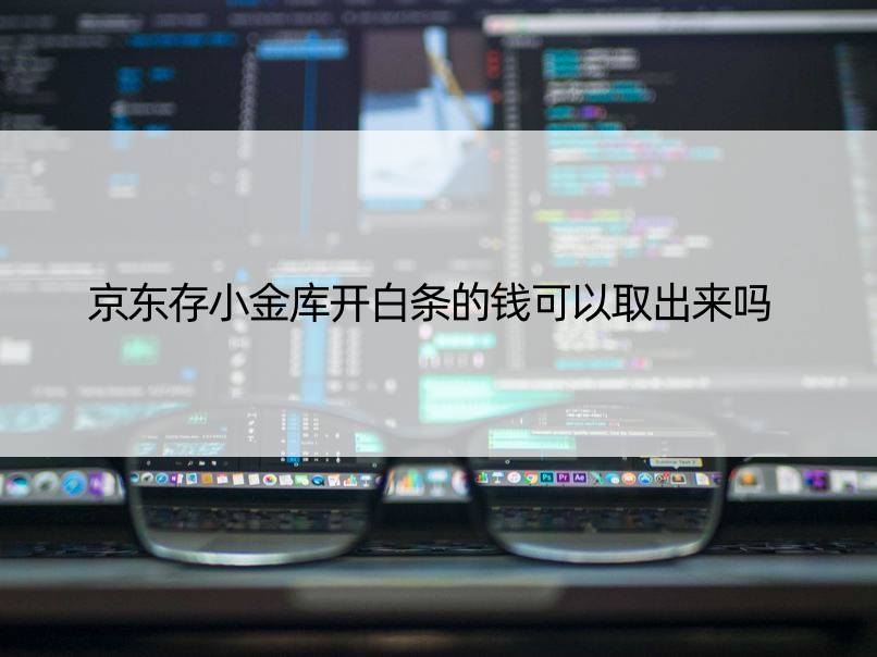 京东存小金库开白条的钱可以取出来吗