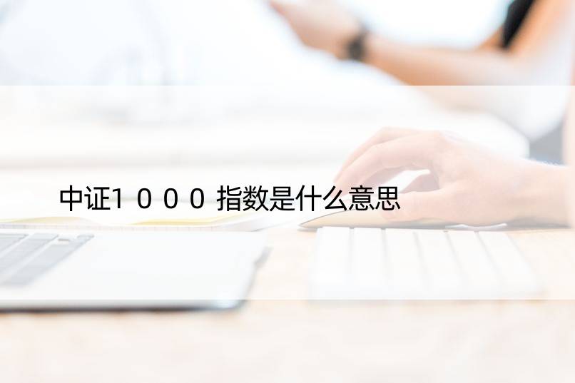 中证1000指数是什么意思