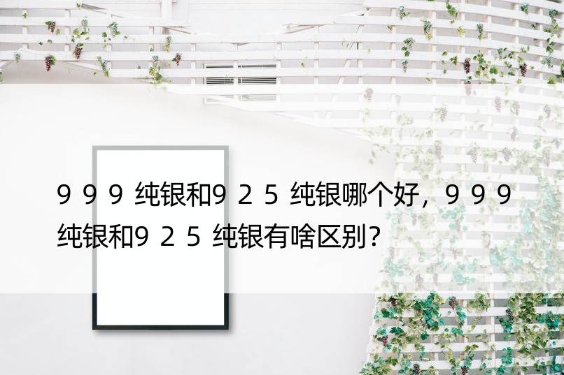 999纯银和925纯银哪个好，999纯银和925纯银有啥区别？