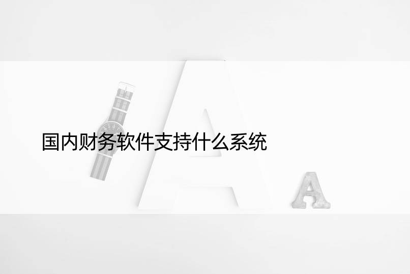 国内财务软件支持什么系统