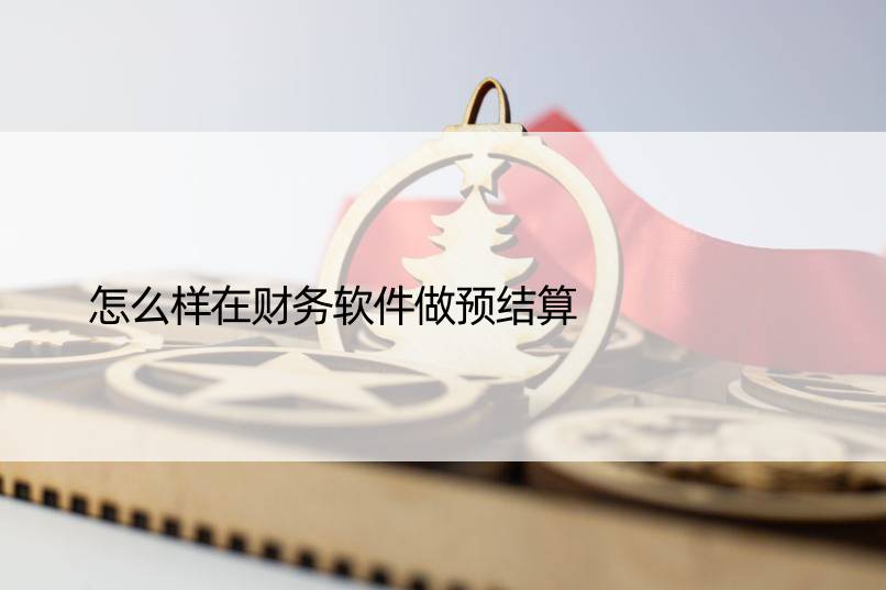 怎么样在财务软件做预结算