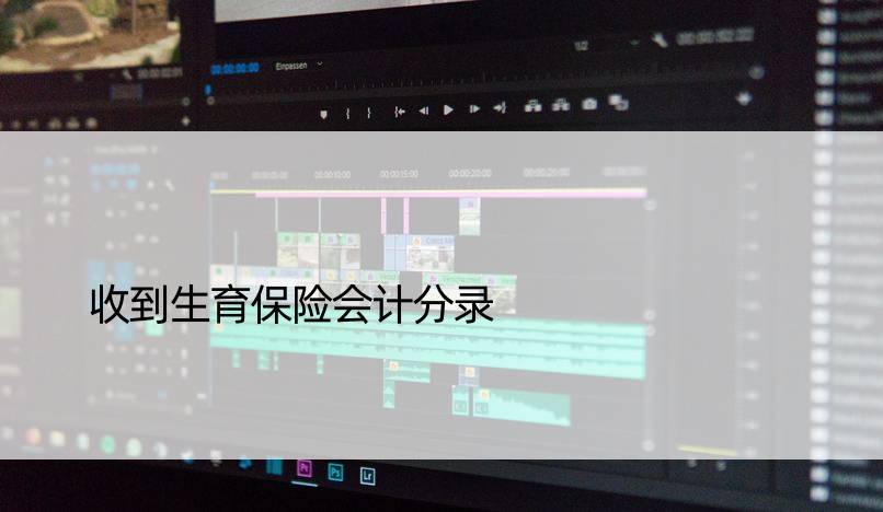 收到生育保险会计分录