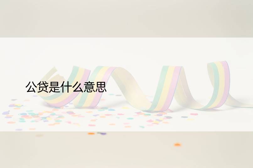 公贷是什么意思